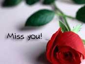 love you